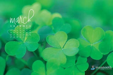 Desktop Wallpapers Archives   The Mantooth Marketing Company