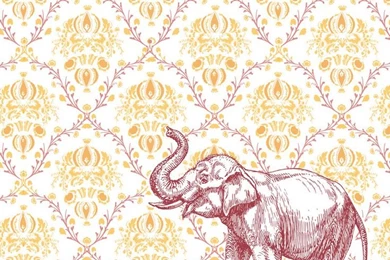 Elephant Wallpapers