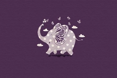 Elephant Everything On Pinterest