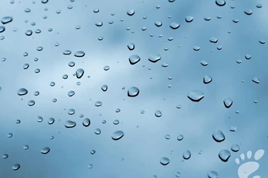 After The Rain Wallpapers   Christian Wallpapers And Backgrounds