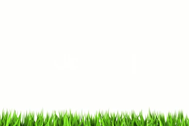 White Backgrounds Wallpapers