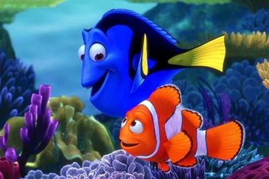 Finding Nemo Wallpapers For Kids Bedroom