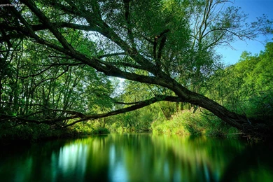 Download Wallpapers Nature,desktop Wallpapers