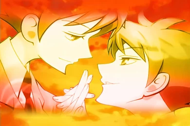 Ouran High School Host Club Wallpapers