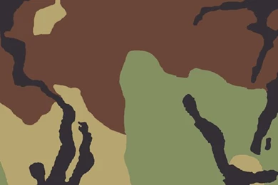 Classic Camo iPhone 5 Wallpapers (640x1136)