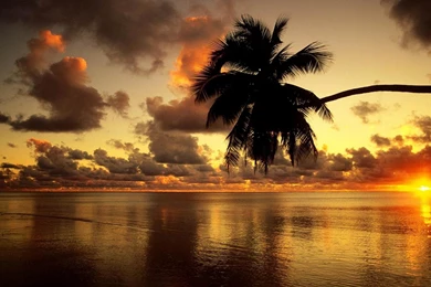 Brilliant Wallpapers >> Backgrounds With Quality HD