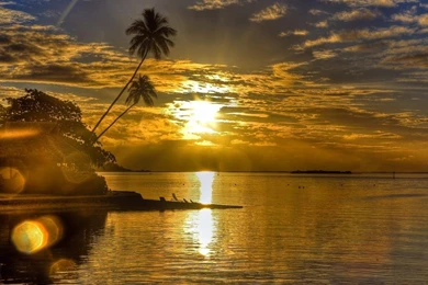 BRILLIANT SUNSET GLARE WALLPAPER   (