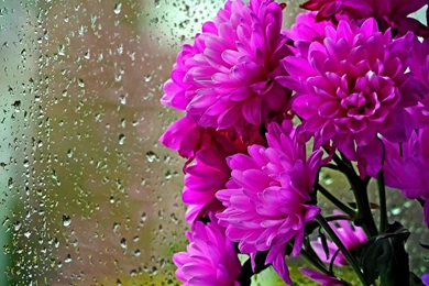 Water Drops Archives   Wallpapers HD Free Wallpapers In All ...