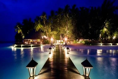 Zedge Wallpapers! ^^