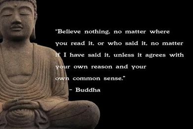 Top Buddha Quotes Hd Wallpapers