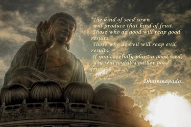Baby Buddha Quotes. QuotesGram