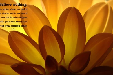 Buddha Quote Wallpapers   Album On Quotesvil.com
