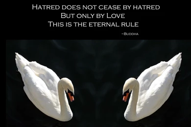 Buddha Quotes About Life. QuotesGram