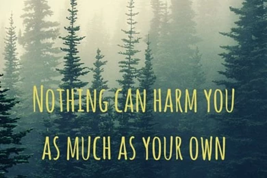 Buddha Quote On Pinterest