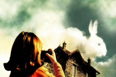 Amelie Wallpapers Wallpapers   Free Amelie Wallpapers Wallpapers ...