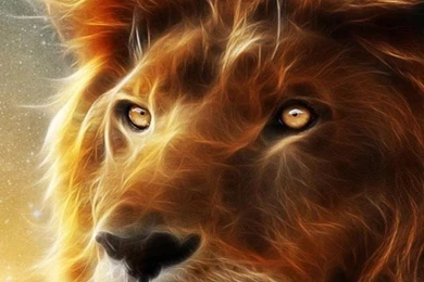 Lion Wallpapers   Android Apps On Google Play