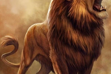 Lion Wallpapers   Android Apps On Google Play