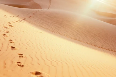 Desert Iphone 6 Wallpapers Items   Share Desert Iphone 6 Wallpapers ...