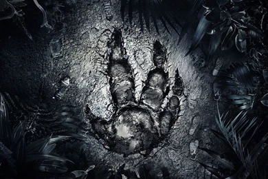 Evolve: Monster's Footprint   1680x1050   Wallpapers