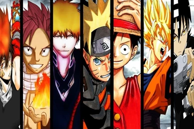 Soul Eater Katekyo Hitman Reborn One Piece Anime Bleach Kurosaki ...