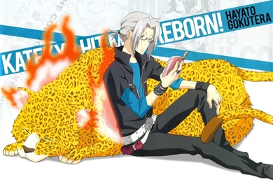 79 Katekyō Hitman Reborn! HD Wallpapers