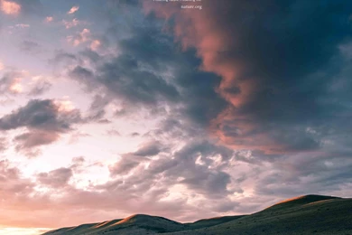 Featured Nature Image