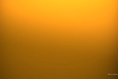 Windows 1680x1050 Free Orange Desktop Wallpapers