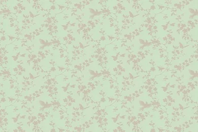 Brown Bird Wallpapers   ImgMob