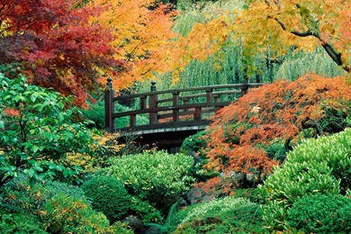 Bridge Desktop Backgrounds And Wallpapers   Japanese Garden ...