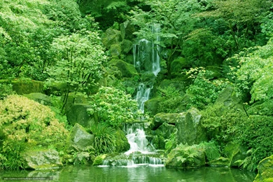 636626_japanese garden_washington park_portland_oregon_vo_2048x1365_www.Gde Fon.com.jpg