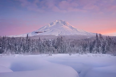 A Pacific Northwest Bucket List