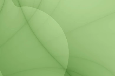 PLAIN GREEN WALLPAPER   (
