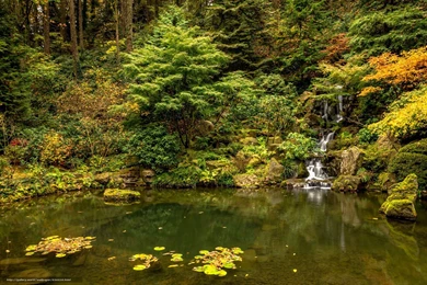 636520_japanese garden_washington park_portland_oregon_vo_6000x4000_www.Gde Fon.com.jpg