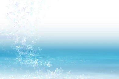 Plain Background Images