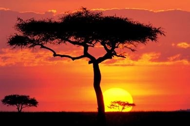 Nature Landscape Hd Wallpapers Widescreen Nature Desktop Images ...