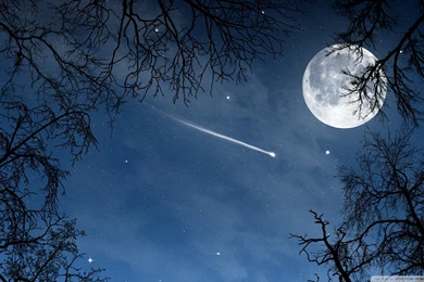 Colorful Plain Wallpapers