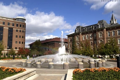 Team:Purdue/Team/Purdue University   2013.igem.org