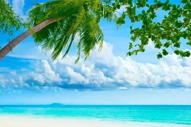 Desktop Beach Wallpapers HD   CuteWallpaper.org