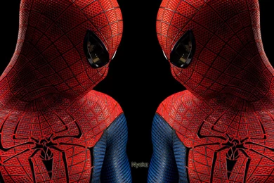 The Amazing Spider man   Wallpapers Wallpapers (31093153)   Fanpop
