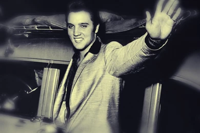 Desktop Wallpapers · Celebrities · Music · Elvis The King