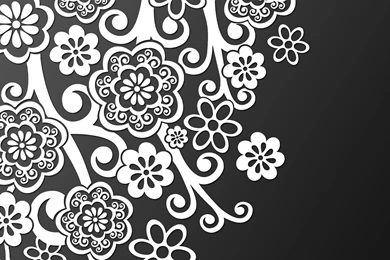 1920x1200 Lace, Black, White Wallpapers And Pictures 11697
