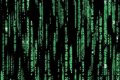 Matrix iPhone Wallpapers / IPod Wallpapers HD   Free Download