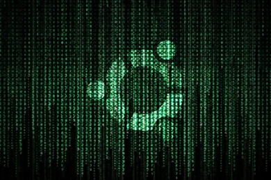 MATRIX WALLPAPERS   Bing Images