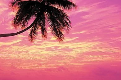 Rainbow Sunset Beach Wallpapers   Beach Wallpapers