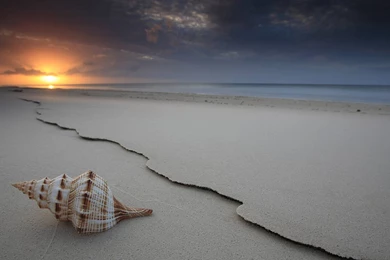 Sunset Beach Wallpapers [3]   (