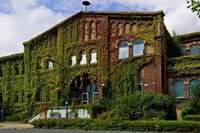 Most Beautiful House   HD Wallpapers Widescreen   1280x800