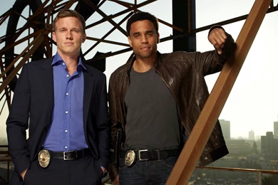 2550x1472px Common Law