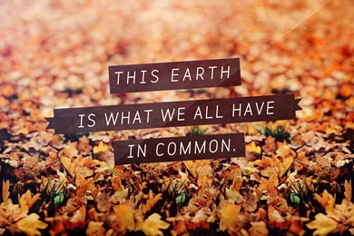 This Earth Is All We Have In Common Ultra Hd Wallpapers   Ultra ...