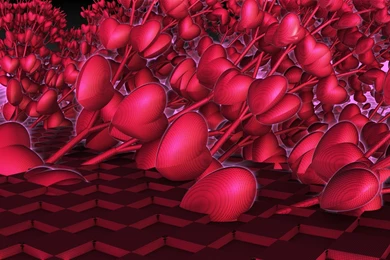 Page 3: Full HD 1080p Heart Wallpapers HD, Desktop Backgrounds ...