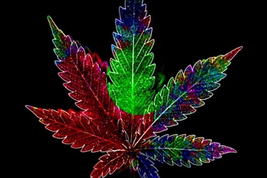 3D Wallpapers Cool Weed Leaf Marijuana Hd Wallpapers